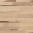B-klon_kanadyjski_robust