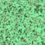Safetred_Aqua-3816101