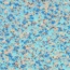 Safetred_Aqua-3816110