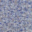 Safetred_Aqua-3816112