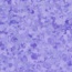 Eclipse_Premium-3440008