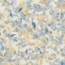 Eminent-3101095