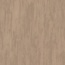 Standard-3068481