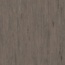 Standard-3068496