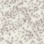 Eminent-3101071